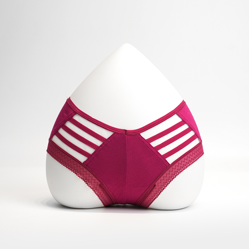 女性のセクシーなブリーフ