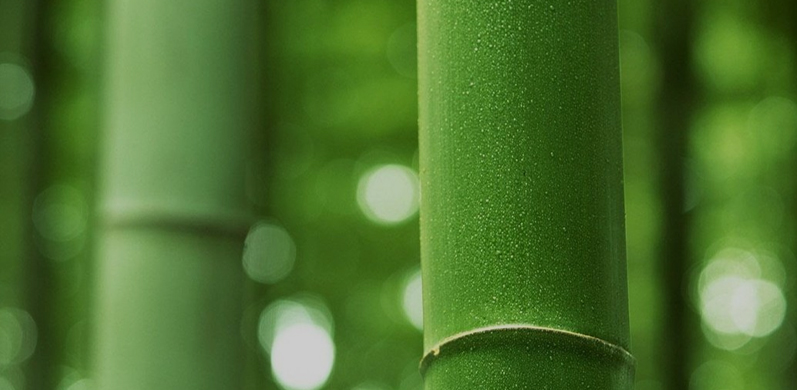 Nantong Tianhong Textile Technology Co.、Ltd。